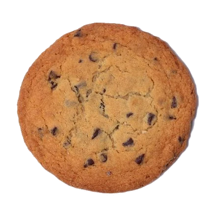A chocolate chip cookie